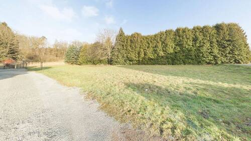 Außen - Grünland - 