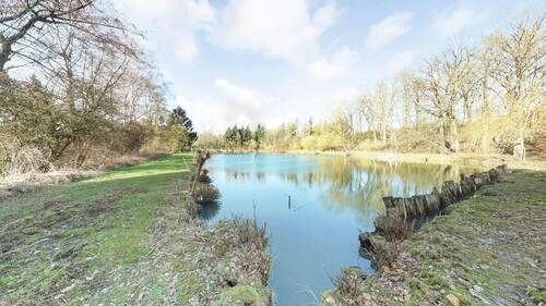 Außen - Großer Teich - 1 Zimmer Mehrfamilienhaus, Wohnhaus in Horn-Bad Meinberg