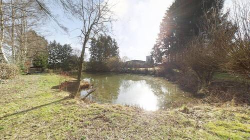 Außen - Kleiner Teich mit Gartenhaus - Mehrfamilienhaus, Wohnhaus mit 430,00 m&sup2; in Horn-Bad Meinberg zum Kaufen