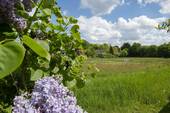 Kastanienallee_Außen_03 - 