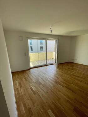 Wohnzimmer - 2 Zimmer Etagenwohnung zur Miete in Stein