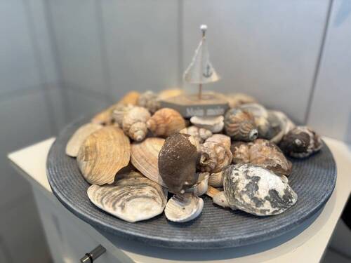 Bild 10 - 