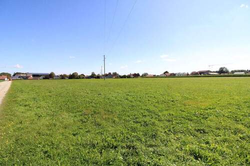 Grünland - Grundstück zum Kaufen in Unteregg