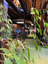 Bild 10 - 