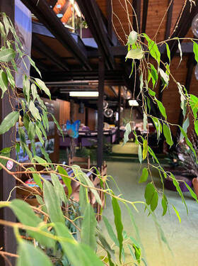 Bild 10 - 