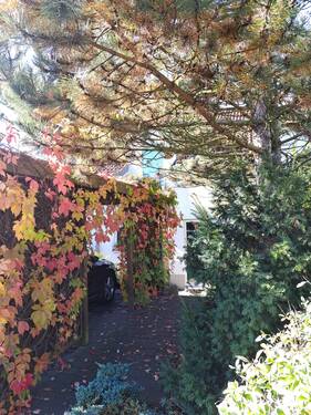 Carport.jpg - 