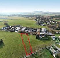 Wiesen- und Waldflächen mit ca. 25.825 m² Gesamtfläche - Neukirch Gottschdorf