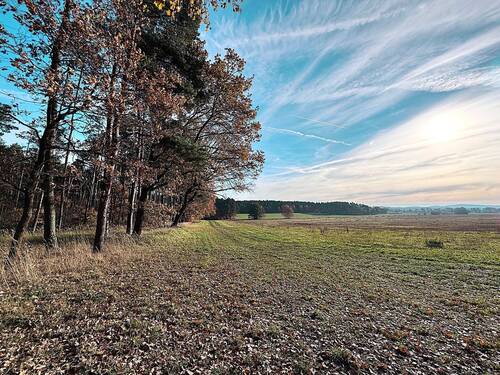 Flurstück 16 - Grundstück in Neukirch
