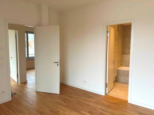 Zimmer1.3 - 
