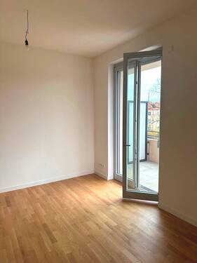 Zimmer1 - 
