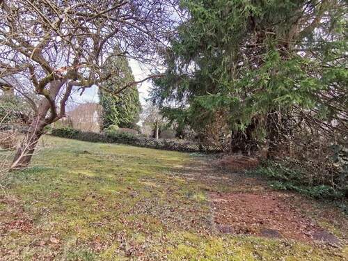 Blick in den Garten - 