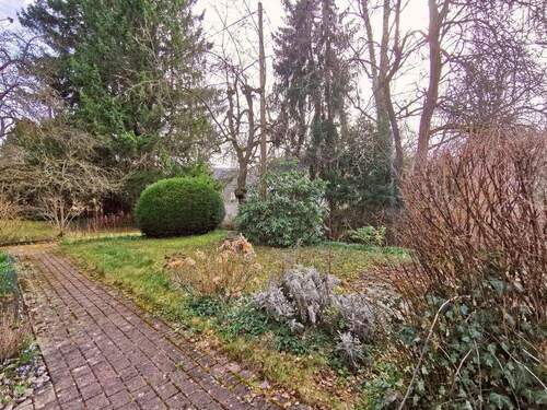 Blick in den Garten - 