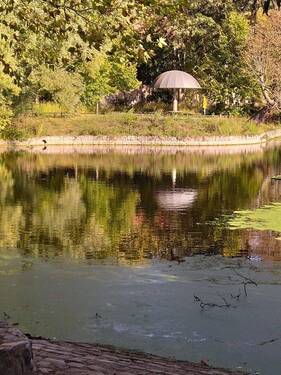 Teich im Park - 