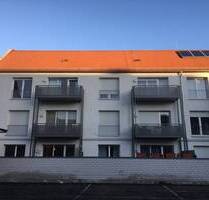 Helle und großzügige 2 Zimmerwohnung EG - Süd-Terrasse - Einbauküche - Erlangen Innenstadt