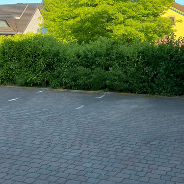 2CA22F58-86D5-4AC8-883C-F542F4ADF146.PNG - 