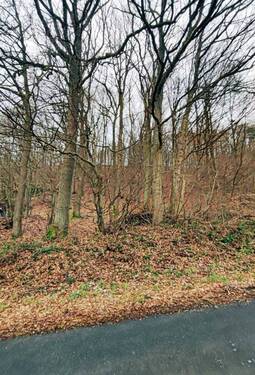 Bild 1 - Mitten in der Natur! - 50.000,00 EUR Kaufpreis, ca.  0,00 m²