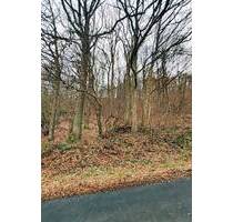 Mitten in der Natur! - 50.000,00 EUR Kaufpreis, ca.  0,00 m² in Windeck (PLZ: 51570) Rosbach