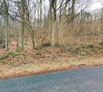 Bild 2 - Grundstück zum Kaufen in Windeck