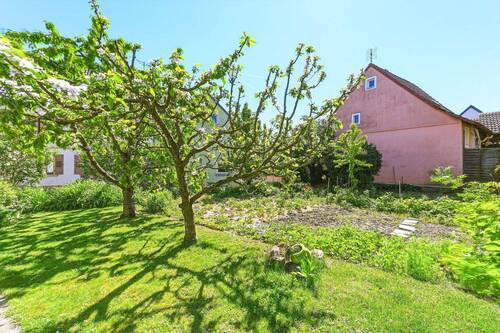 Bild 15 - 