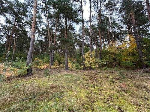 Bild 2 - Grundstück zum Kaufen in Berlin