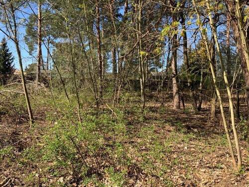 Blick vom Wald auf das Grundstück - 