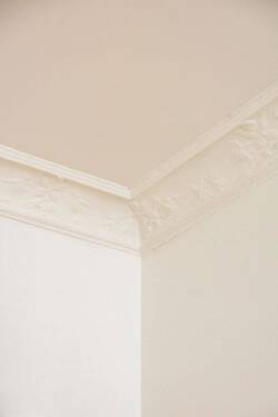 Details - 