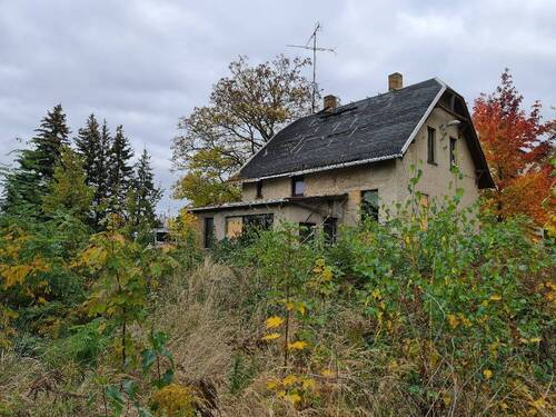 Gartenseite.jpg - 