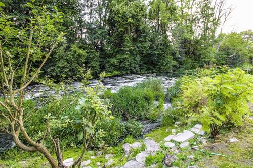 Ausblick Wohnungen - 4 Zimmer Einfamilienhaus zum Kaufen in Blaustein