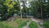 Grundstück - Grundstück in Wandlitz zum Kaufen