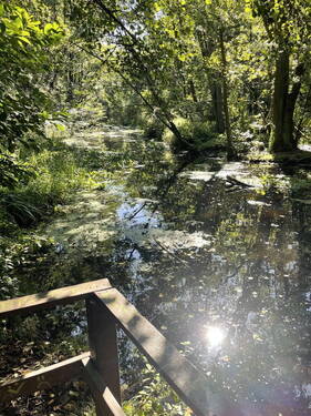 Fluss Briese am Garten - 