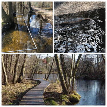 Briese Impressionen - 