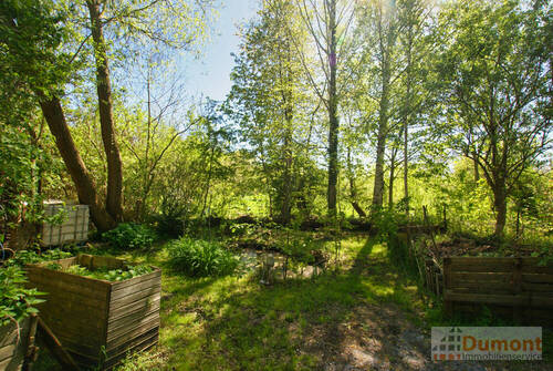 Garten (Pachtland) - 