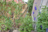 Blick auf Fluss - 