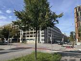 Direktes Umfeld - 3 Zimmer Etagenwohnung zur Miete in München