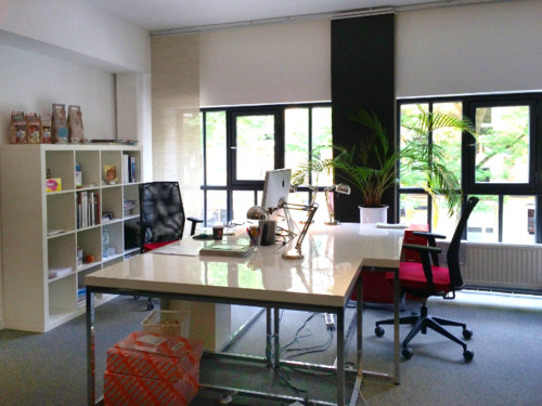 Büro Brooklyn, Blick auf die Friedensallee - Büro zur Miete in Hamburg