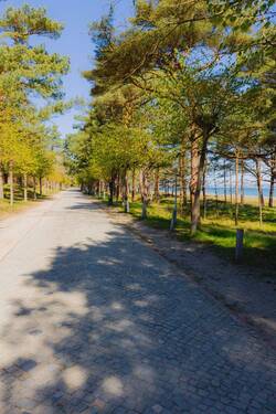 Bild 19 - 