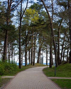 Natur - 2 Zimmer Etagenwohnung in Binz