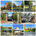 Blank 8 Grids Collage - 