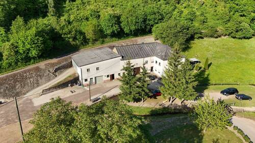 1.JPG - Mehrfamilienhaus, Wohnhaus zum Kaufen in Saarburg