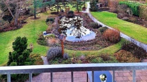 Blick in den Garten - 