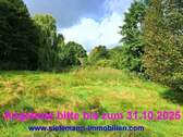 Grundstücksansicht sie.jpg - Naturnahes Grundstück mit Grünland und Waldanteil