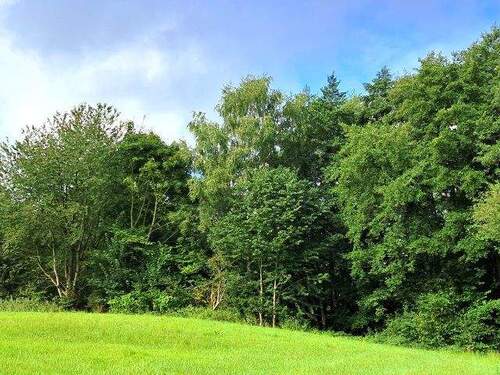 Grünland und Wald.jpg - Grundstück in Lamstedt zum Kaufen