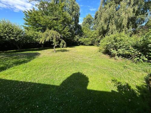 Blick in den Garten - 5 Zimmer Einfamilienhaus in Scharbeutz