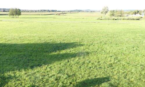 Blick in die Natur - 