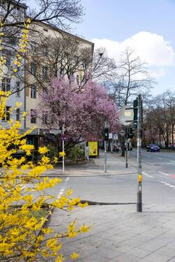 Umgebung - 
