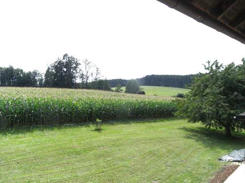 Ausblick - 
