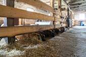 Schafstall - 