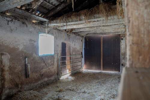 Kuhstall - 