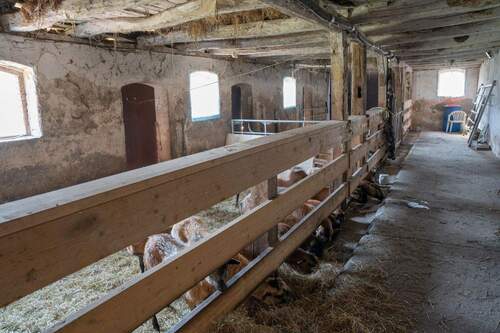 Stallungen - 