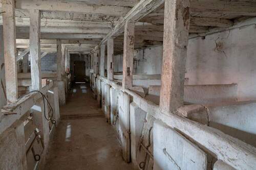 Stallungen - 